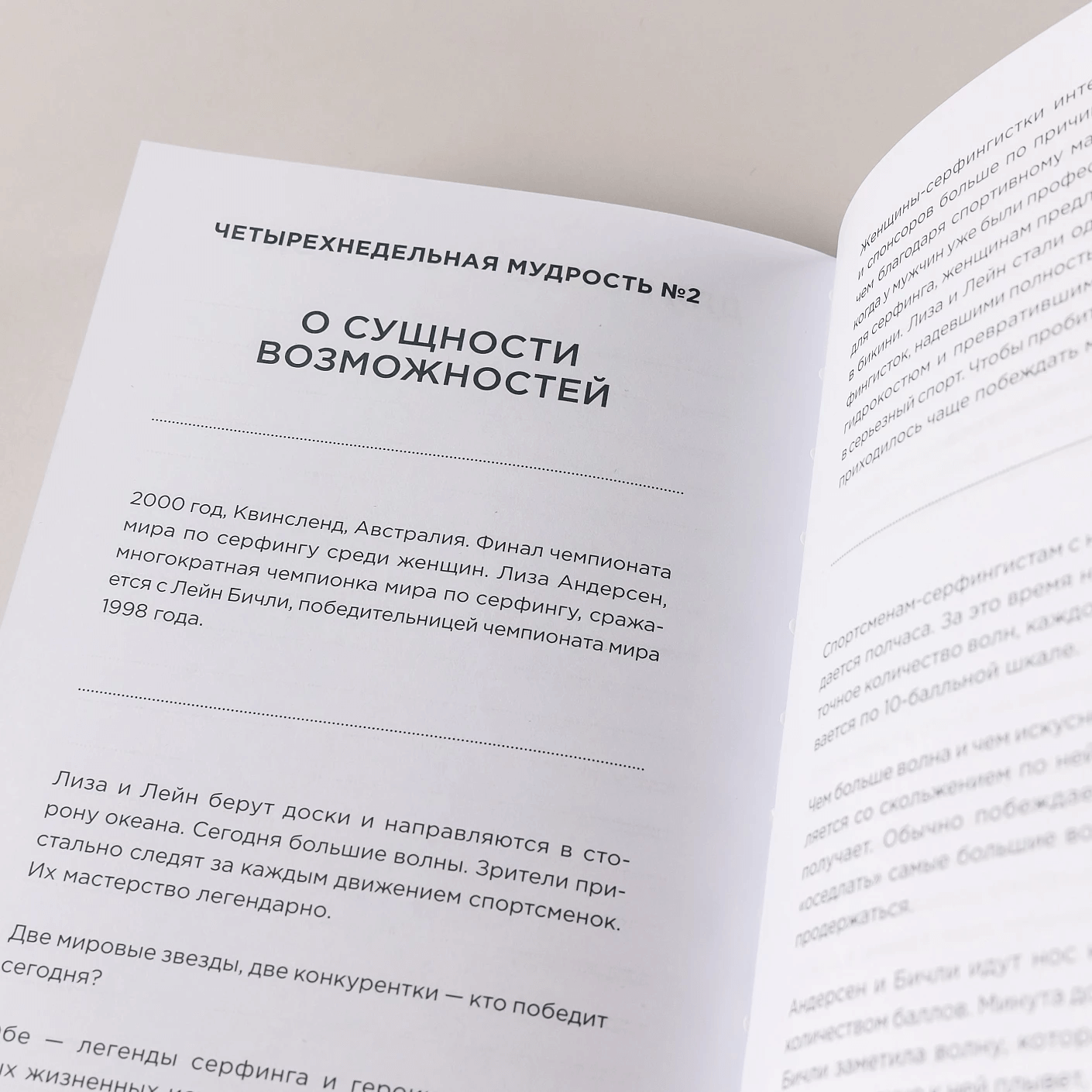 Дневник эффективности (синий)