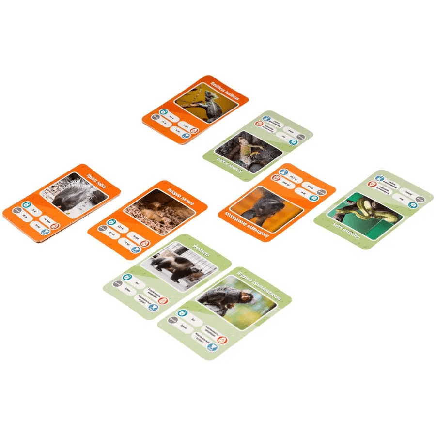 Это факт! Зоопарк