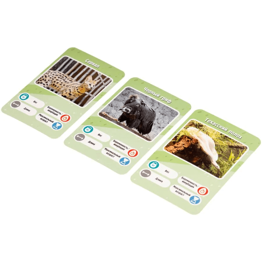 Это факт! Зоопарк