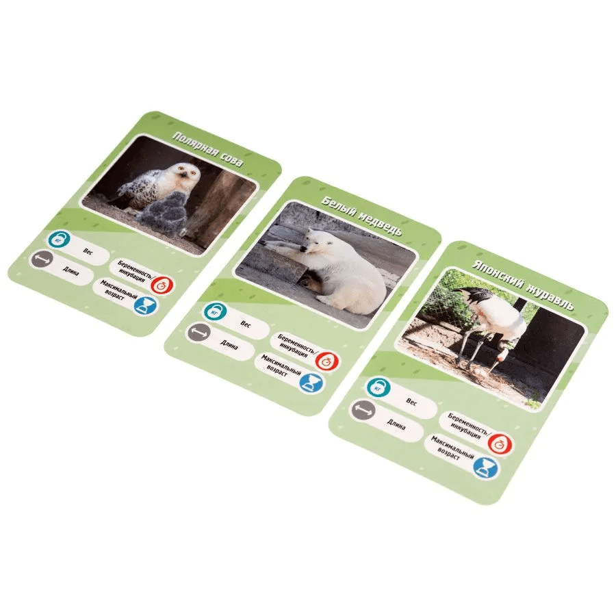 Это факт! Зоопарк