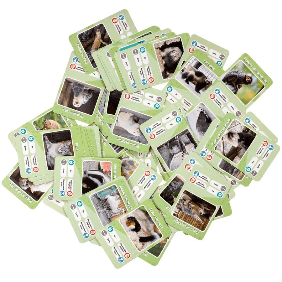 Это факт! Зоопарк