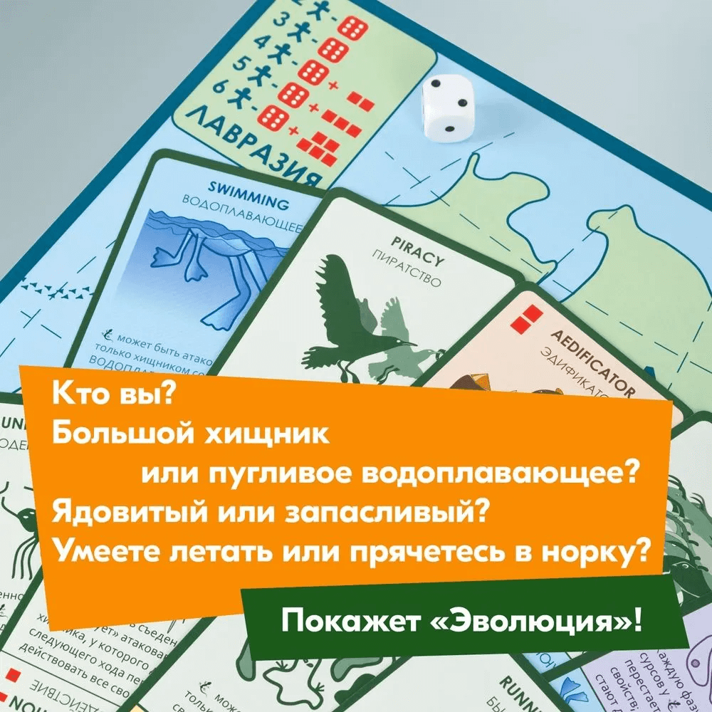 Эволюция: Подарочный набор
