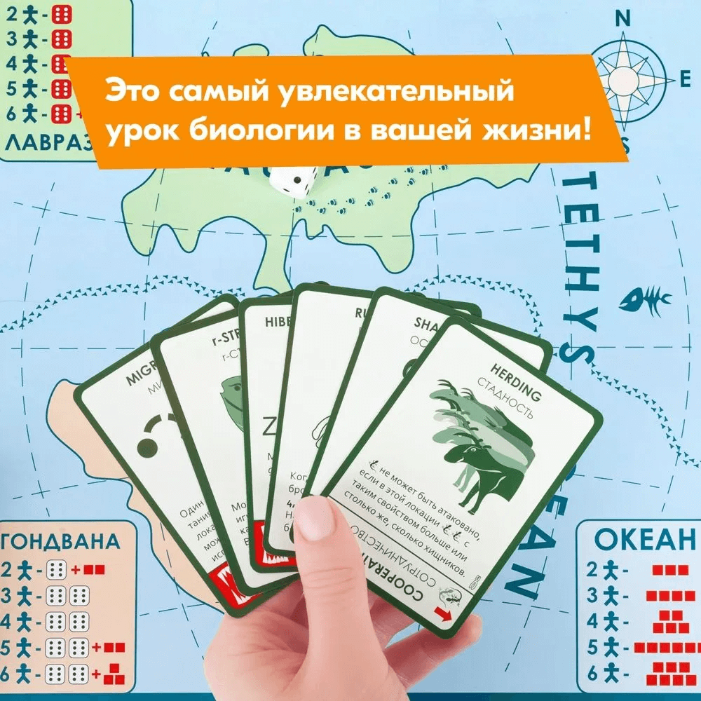 Эволюция: Подарочный набор