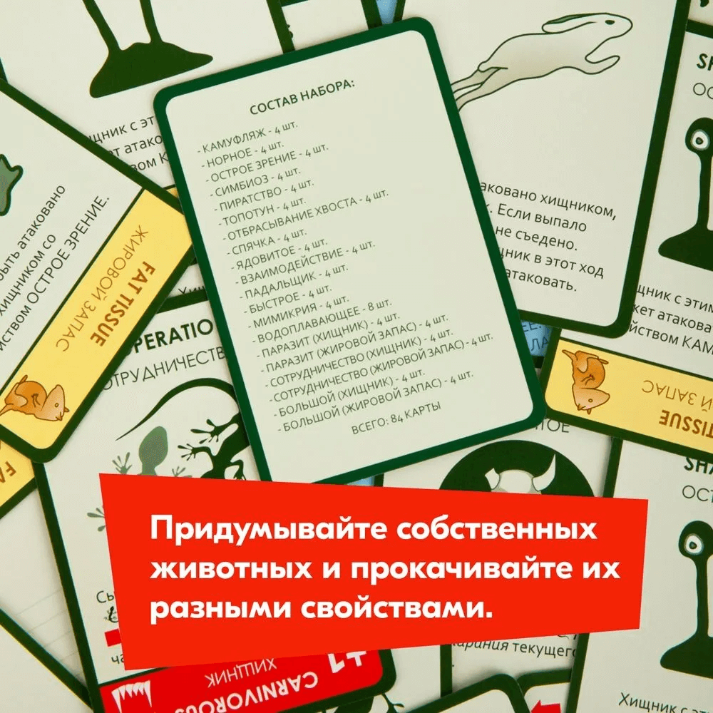 Эволюция: Подарочный набор