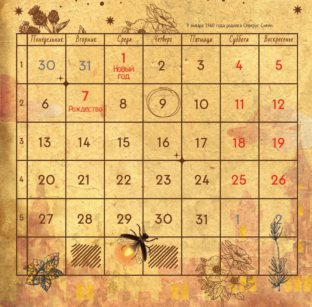 Календарь волшебных фактов из мира «Гарри Поттера»