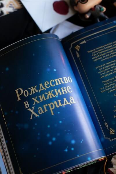 Волшебные блюда и выпечка с Гарри Поттером. Праздничная магия от хлеба на метле до торта Хагрида и апельсиновой карамели