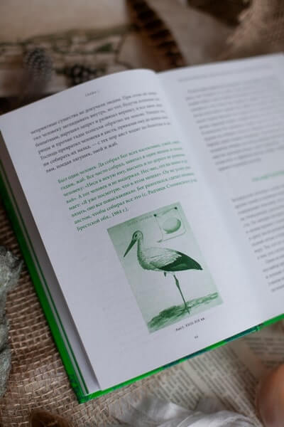 Белорусские мифы. От Мары и домашнего ужа до волколака и Злыдни