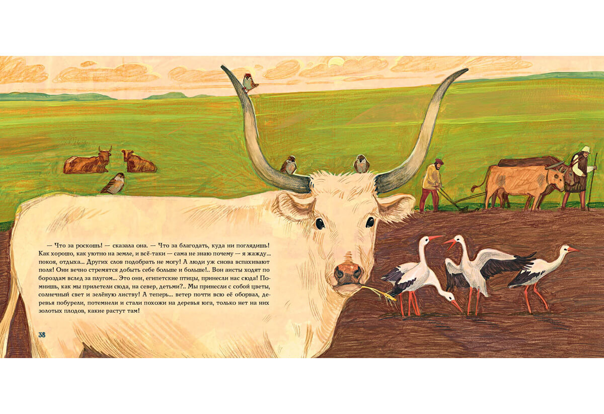 История года