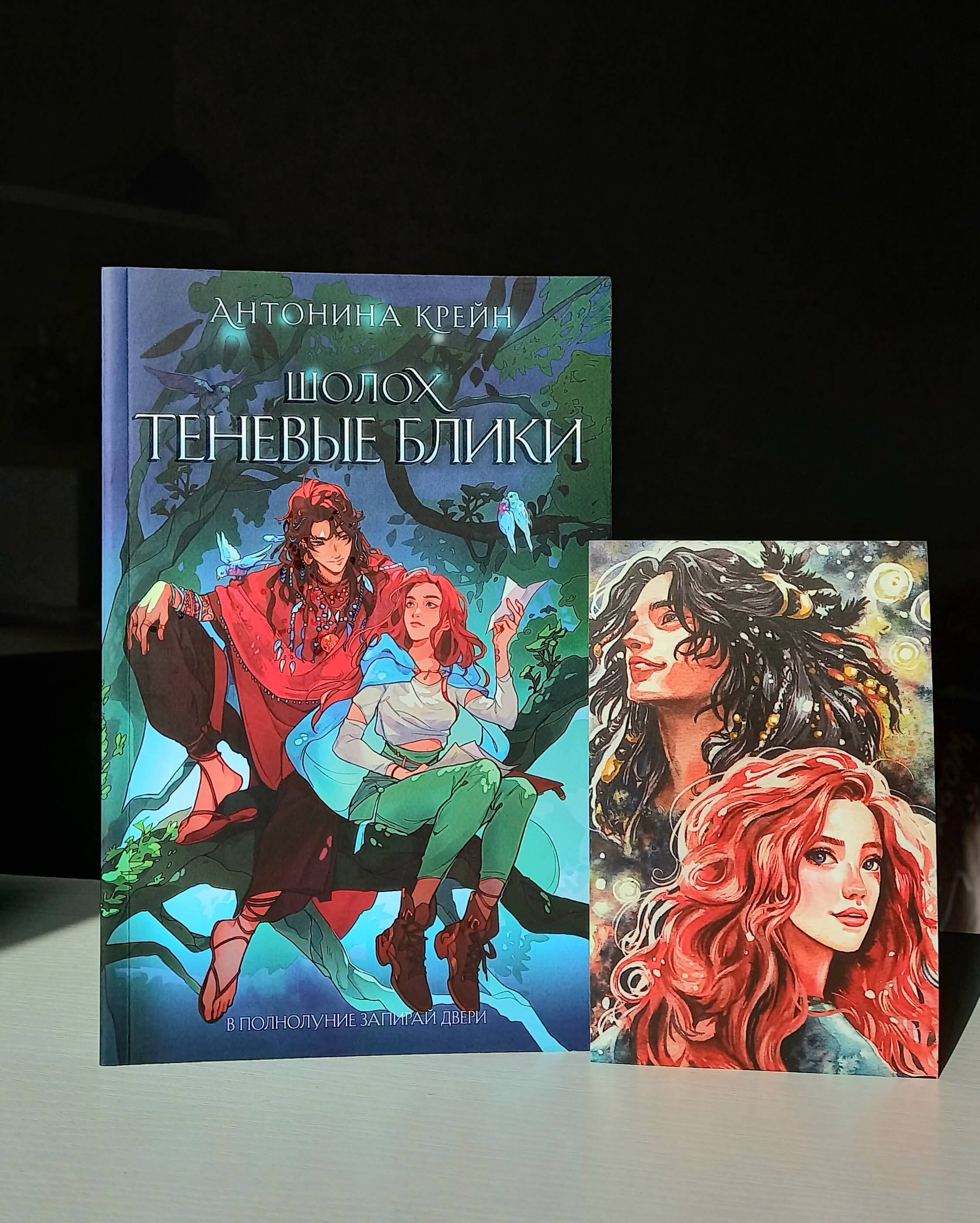 Шолох. Теневые блики