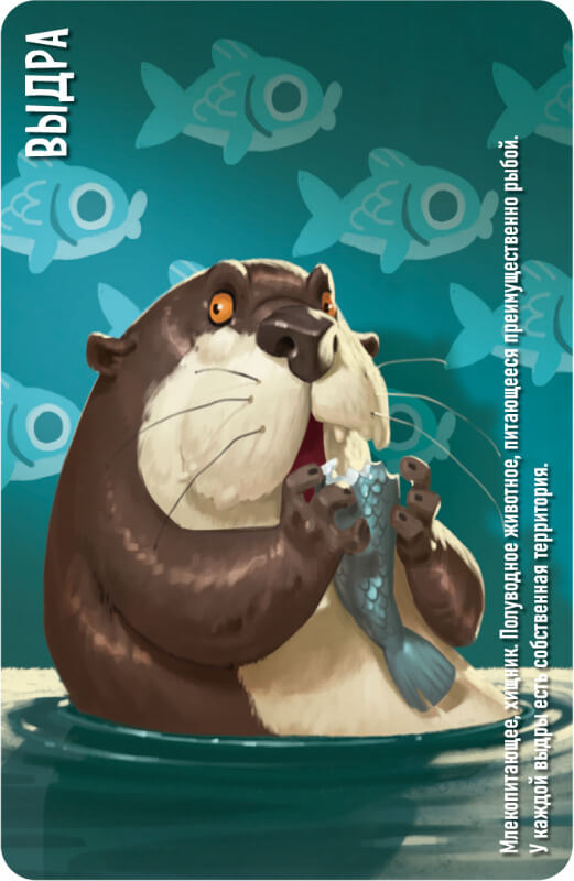 Similo: Животные