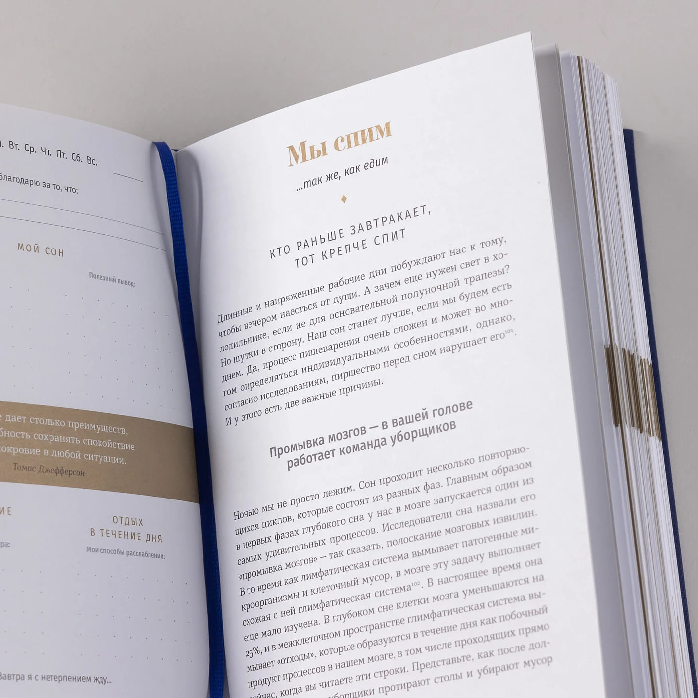 6 минут: Дневник сна