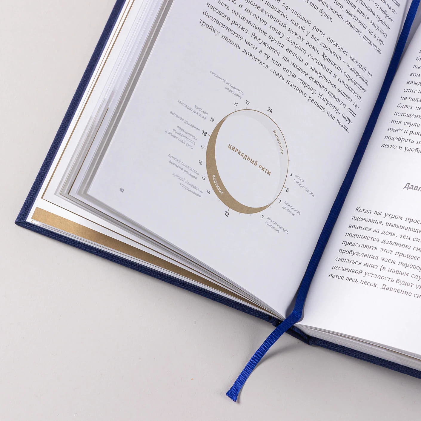 6 минут: Дневник сна