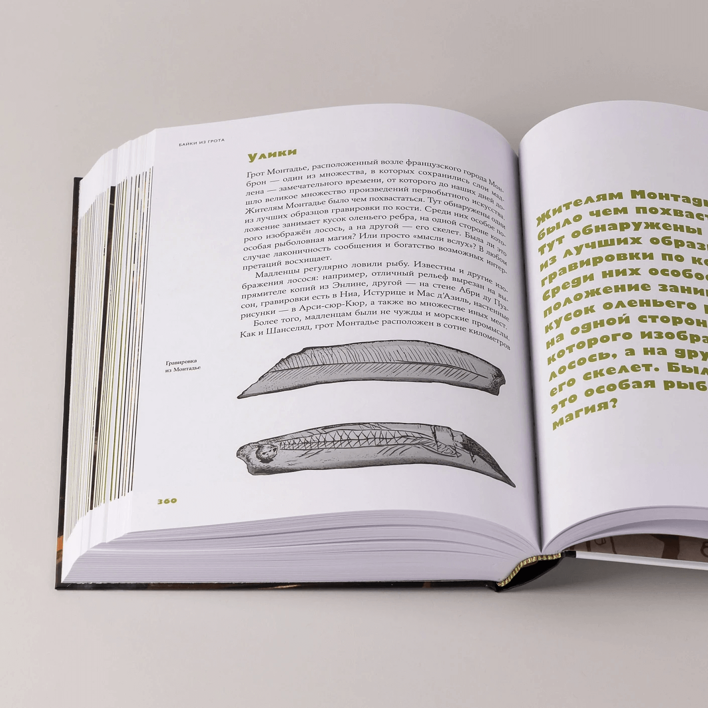 Байки из грота: 50 историй из жизни древних людей