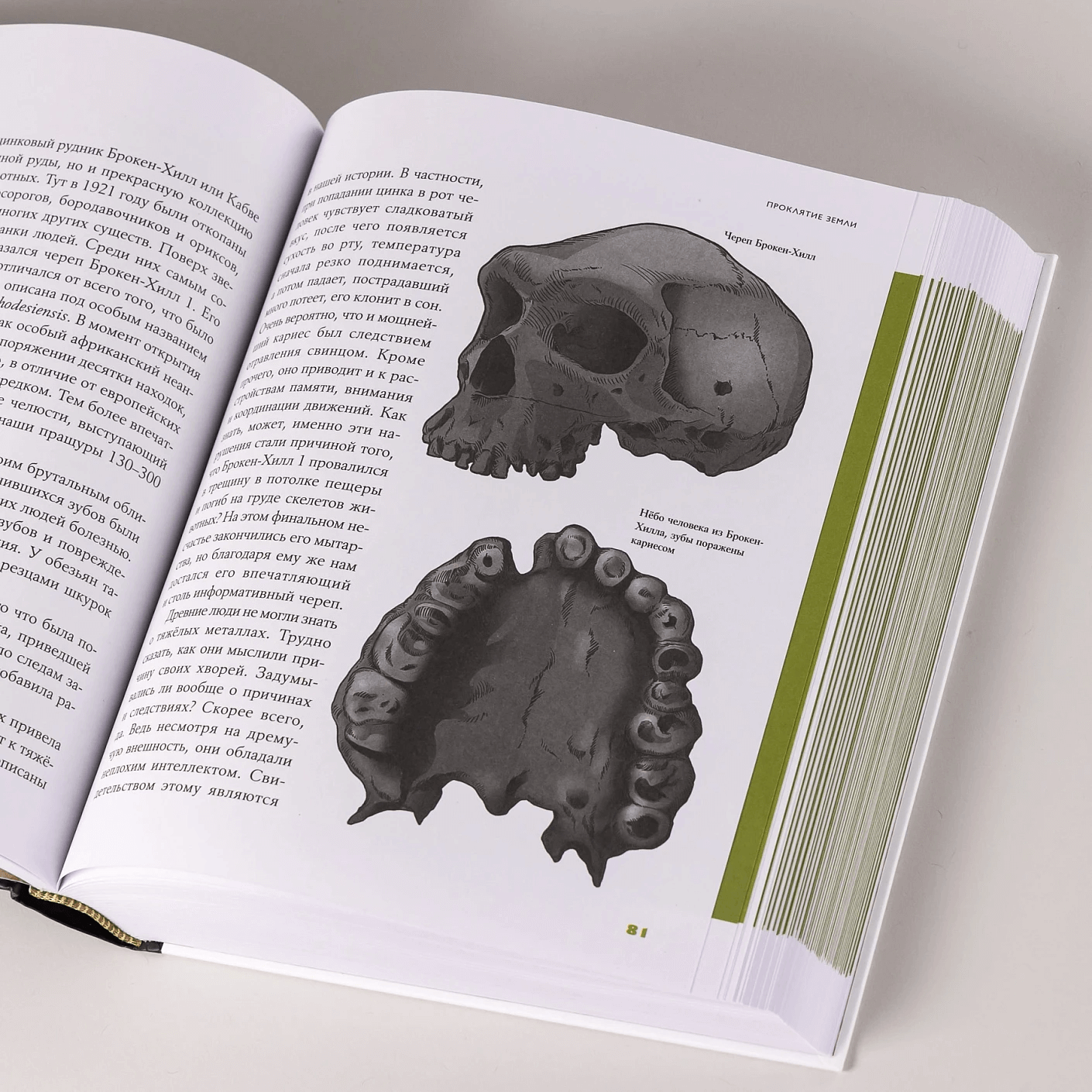 Байки из грота: 50 историй из жизни древних людей