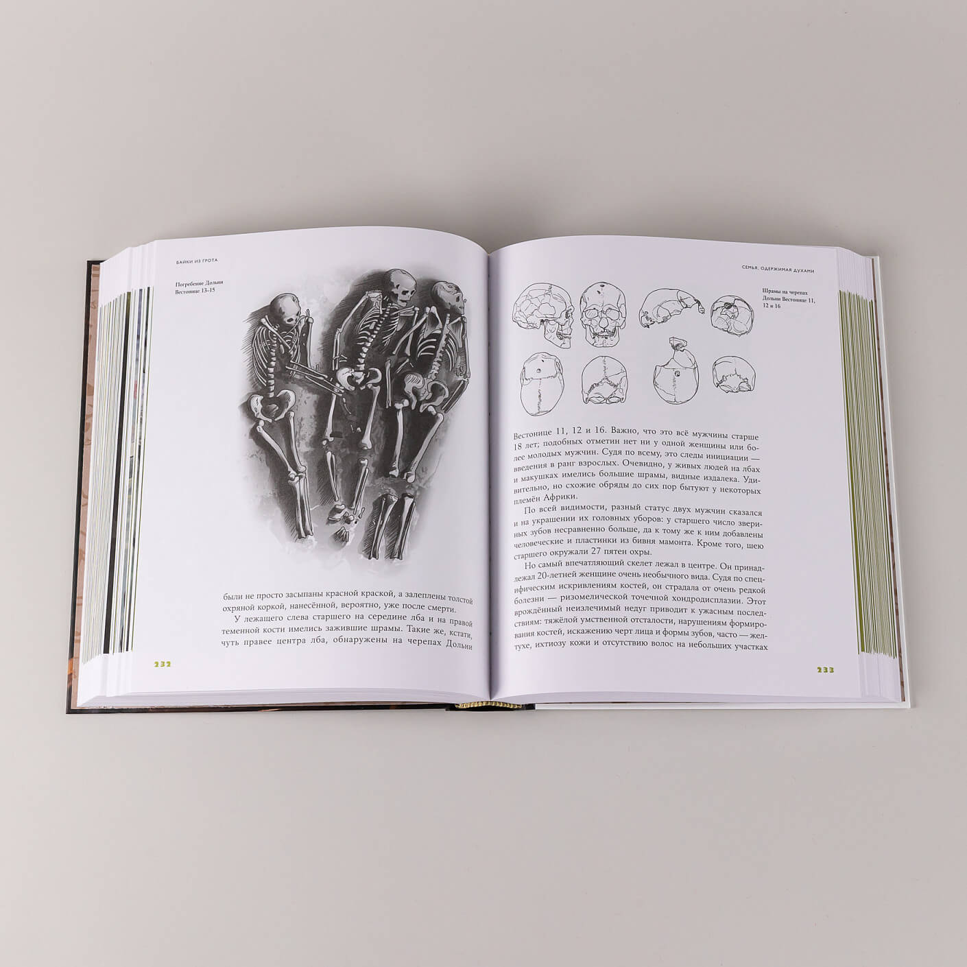 Байки из грота: 50 историй из жизни древних людей