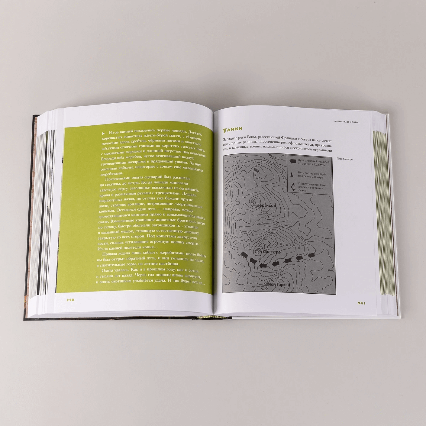 Байки из грота: 50 историй из жизни древних людей