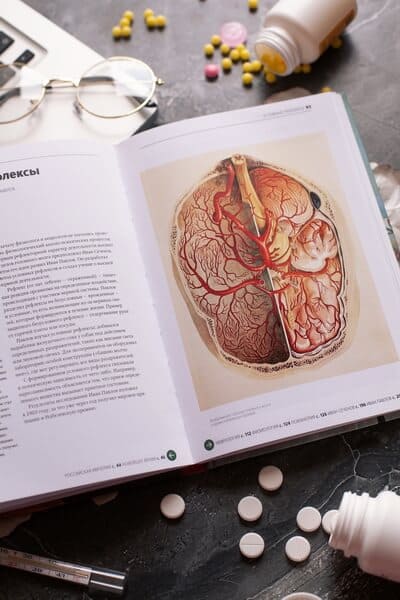 Главное в истории медицины. Хронология, врачи, учёные, открытия. От операций майя до искусственного интеллекта