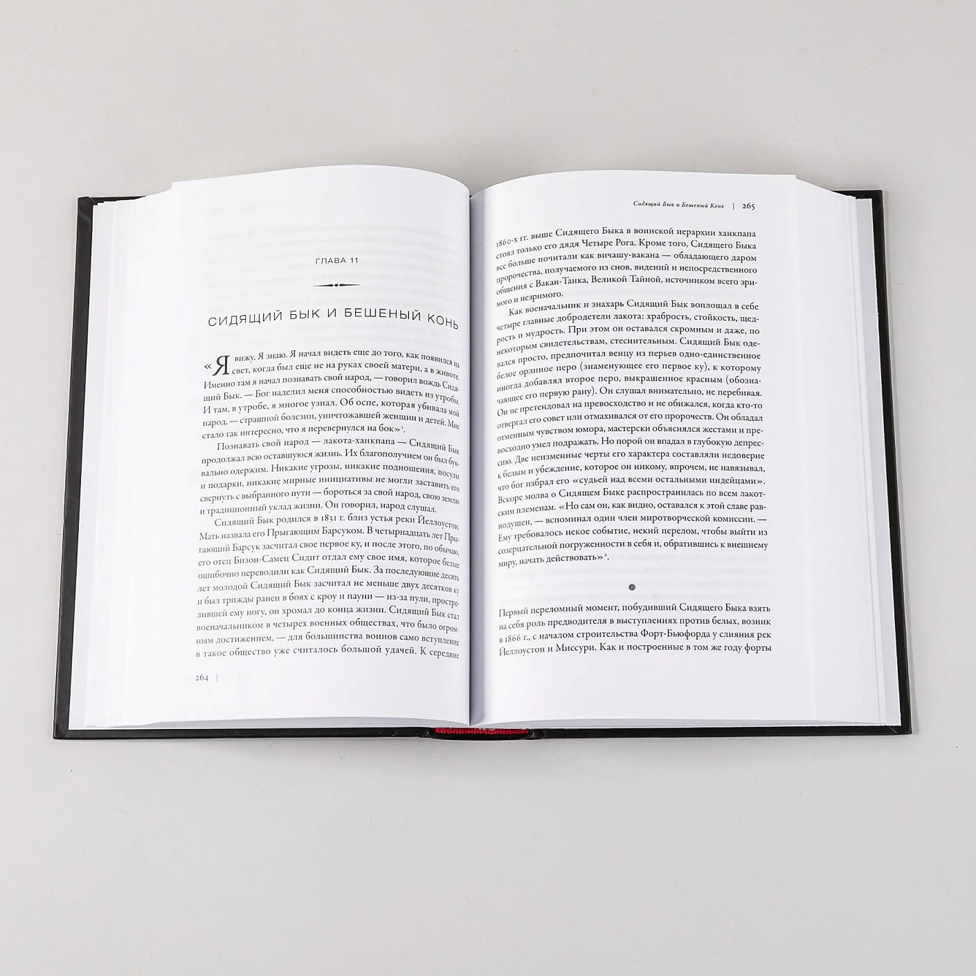 И будет рыдать земля: Как у индейцев отняли Америку