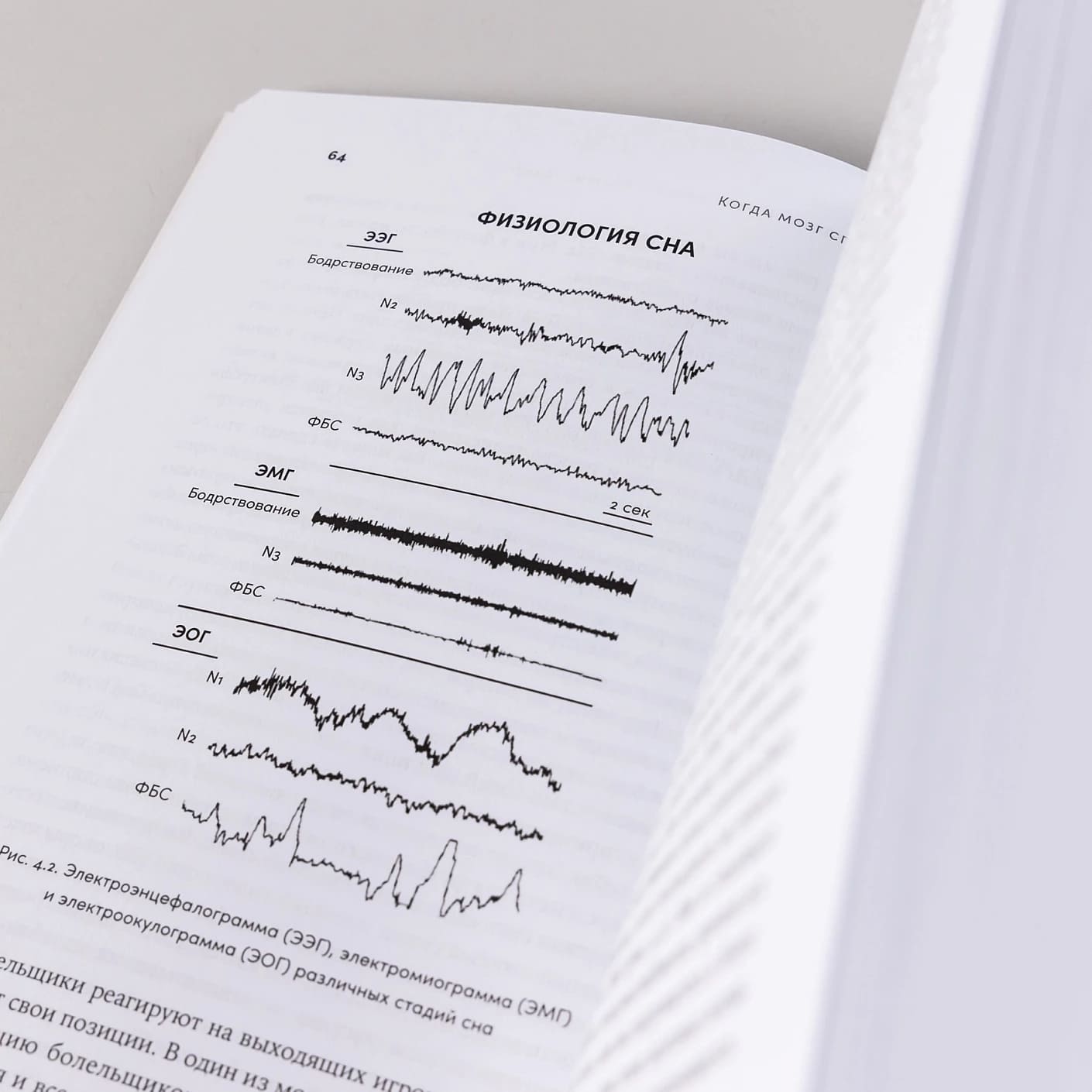 Когда мозг спит: Сновидения с точки зрения науки