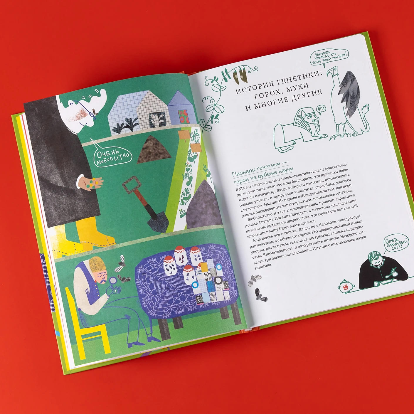 Расплетая ДНК: увлекательный путеводитель по генетике