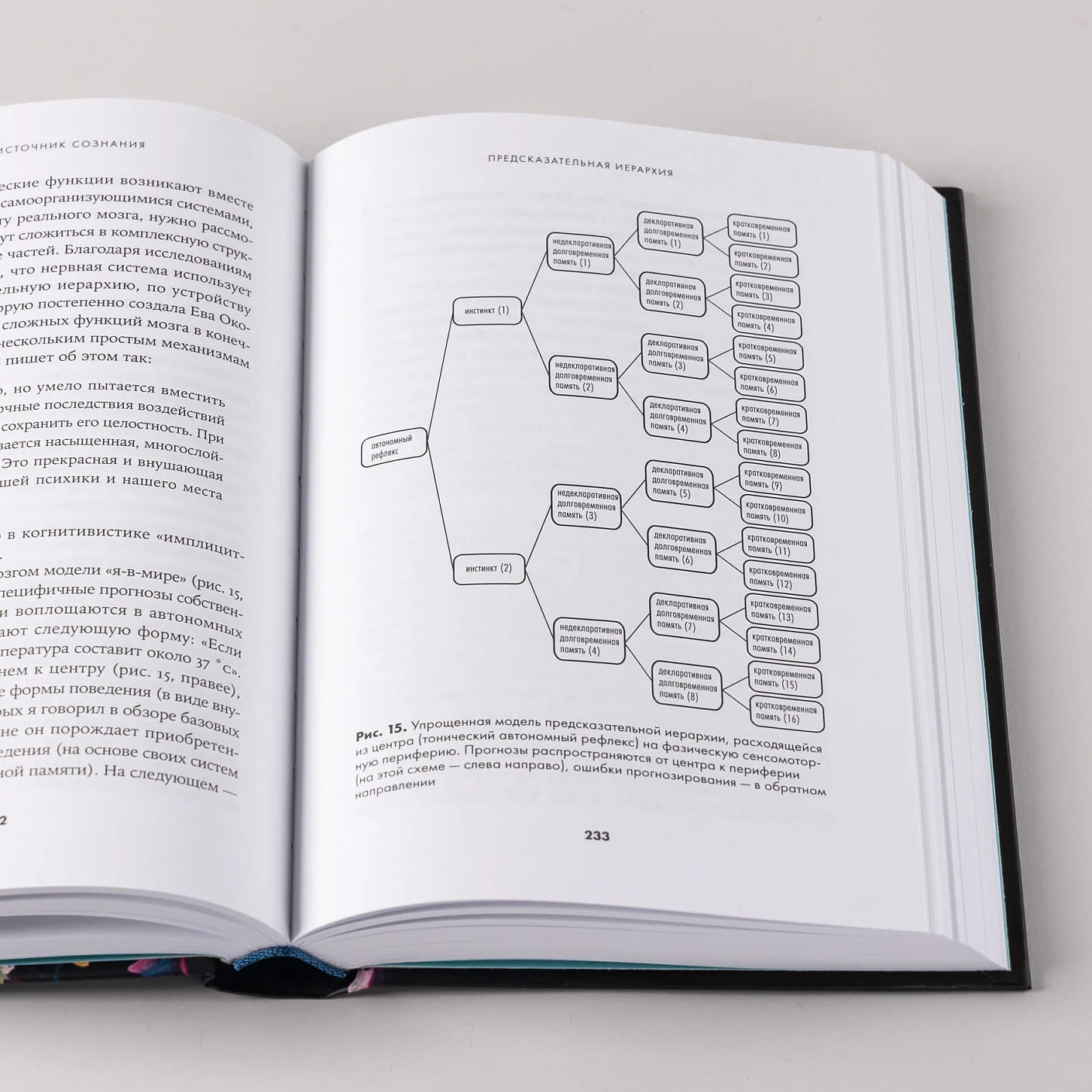 Скрытый источник сознания: В поисках природы субъективного опыта