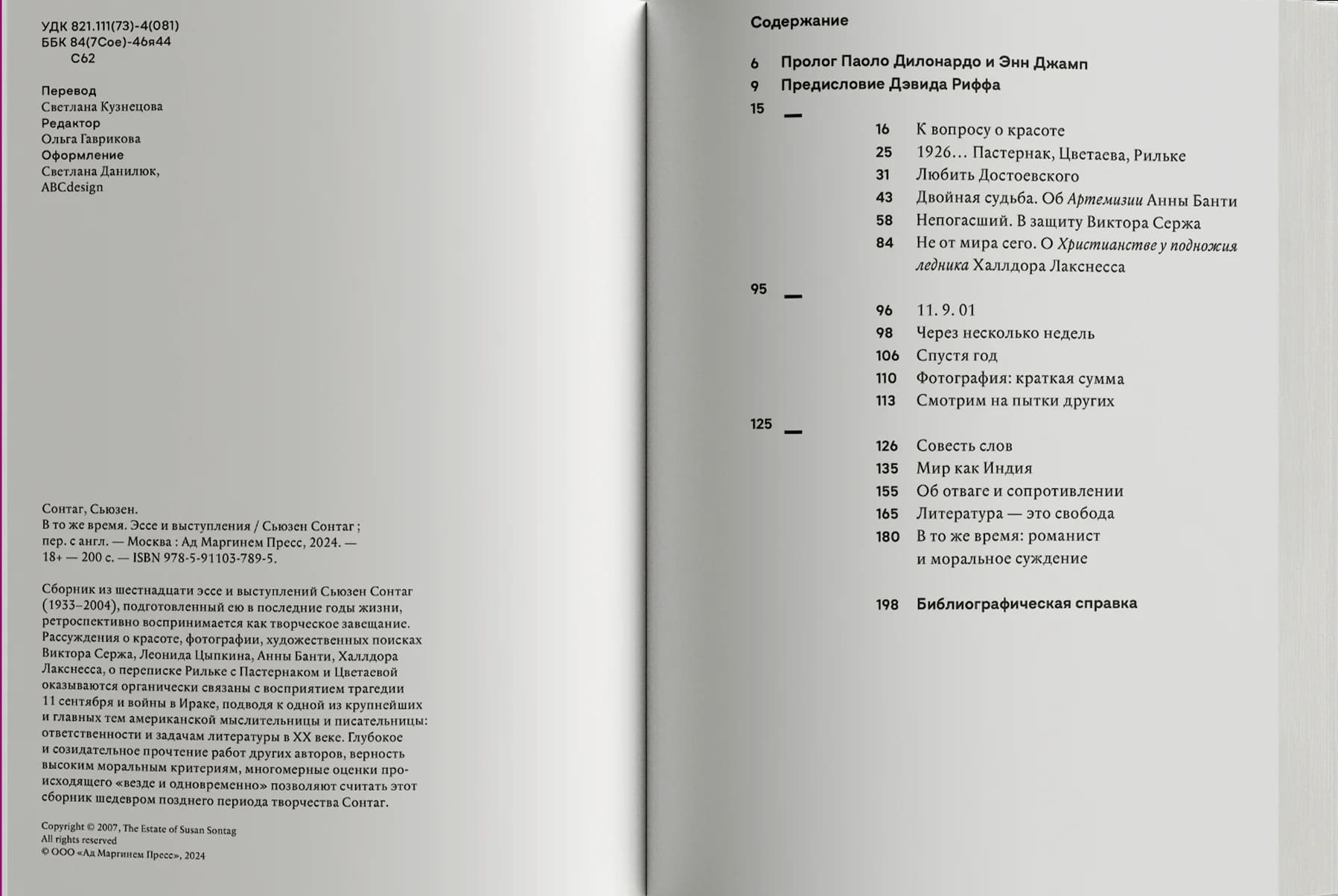 В то же время. Эссе и выступления