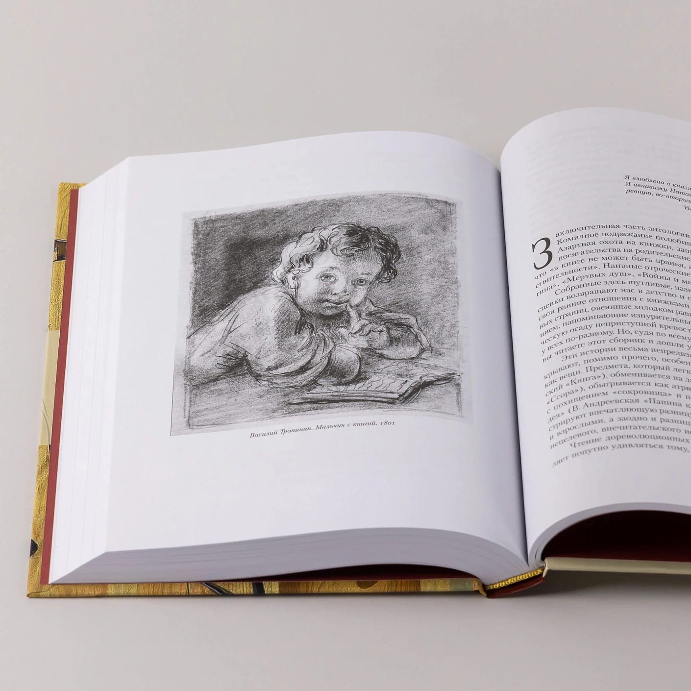 Читательский билет: Литературное путешествие по миру отечественных буквоедов, книготорговцев и библиофилов