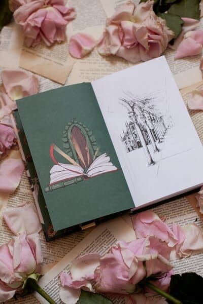 Двериндариум. Мёртвое