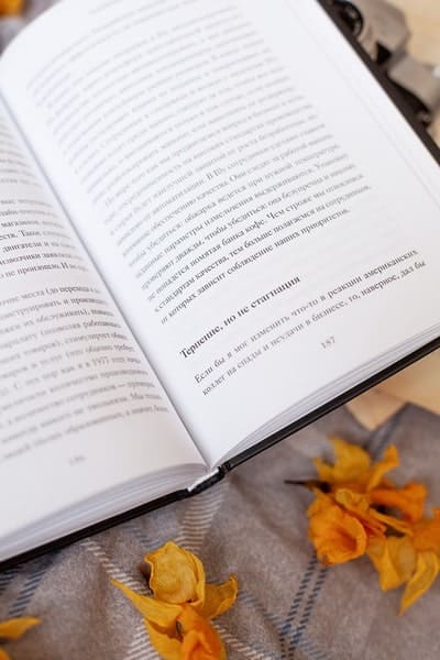 Эстетика как код бренда. Привлекайте клиентов совершенным бизнес-продуктом