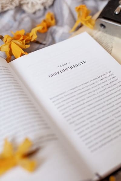 Эстетика как код бренда. Привлекайте клиентов совершенным бизнес-продуктом