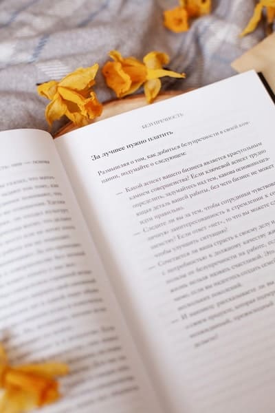 Эстетика как код бренда. Привлекайте клиентов совершенным бизнес-продуктом