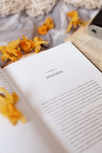 Эстетика как код бренда. Привлекайте клиентов совершенным бизнес-продуктом