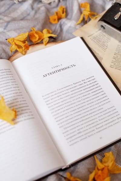 Эстетика как код бренда. Привлекайте клиентов совершенным бизнес-продуктом