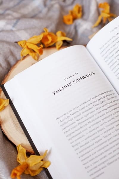 Эстетика как код бренда. Привлекайте клиентов совершенным бизнес-продуктом