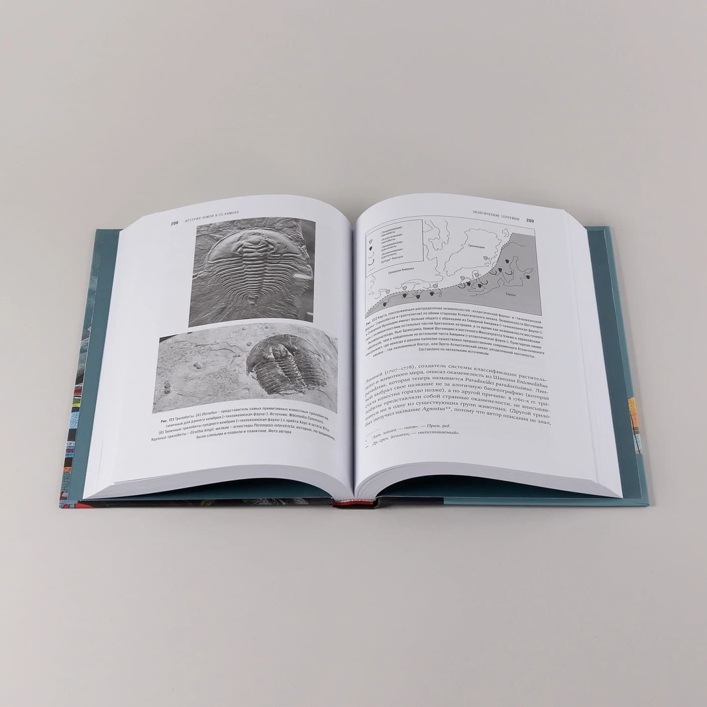 История Земли в 25 камнях: Геологические тайны и люди, их разгадавшие