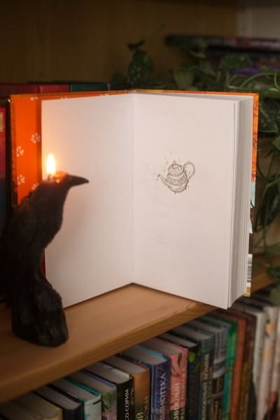 Книжный магазинчик ведьмы. Убийства и чаепития