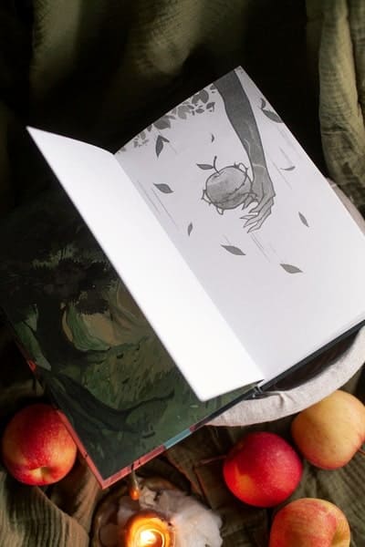 Милость крёстной феи