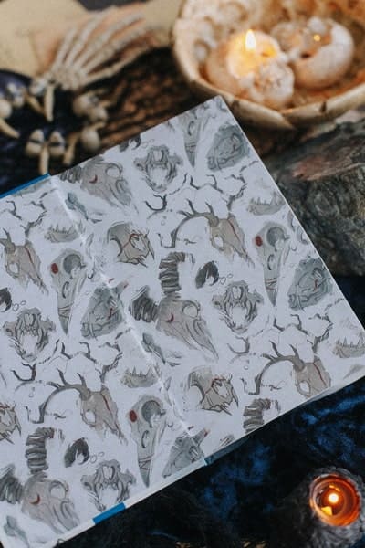 Мрачный Взвод. Двенадцать дней Коляды