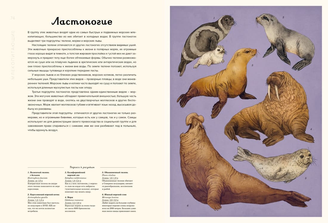 Океанариум