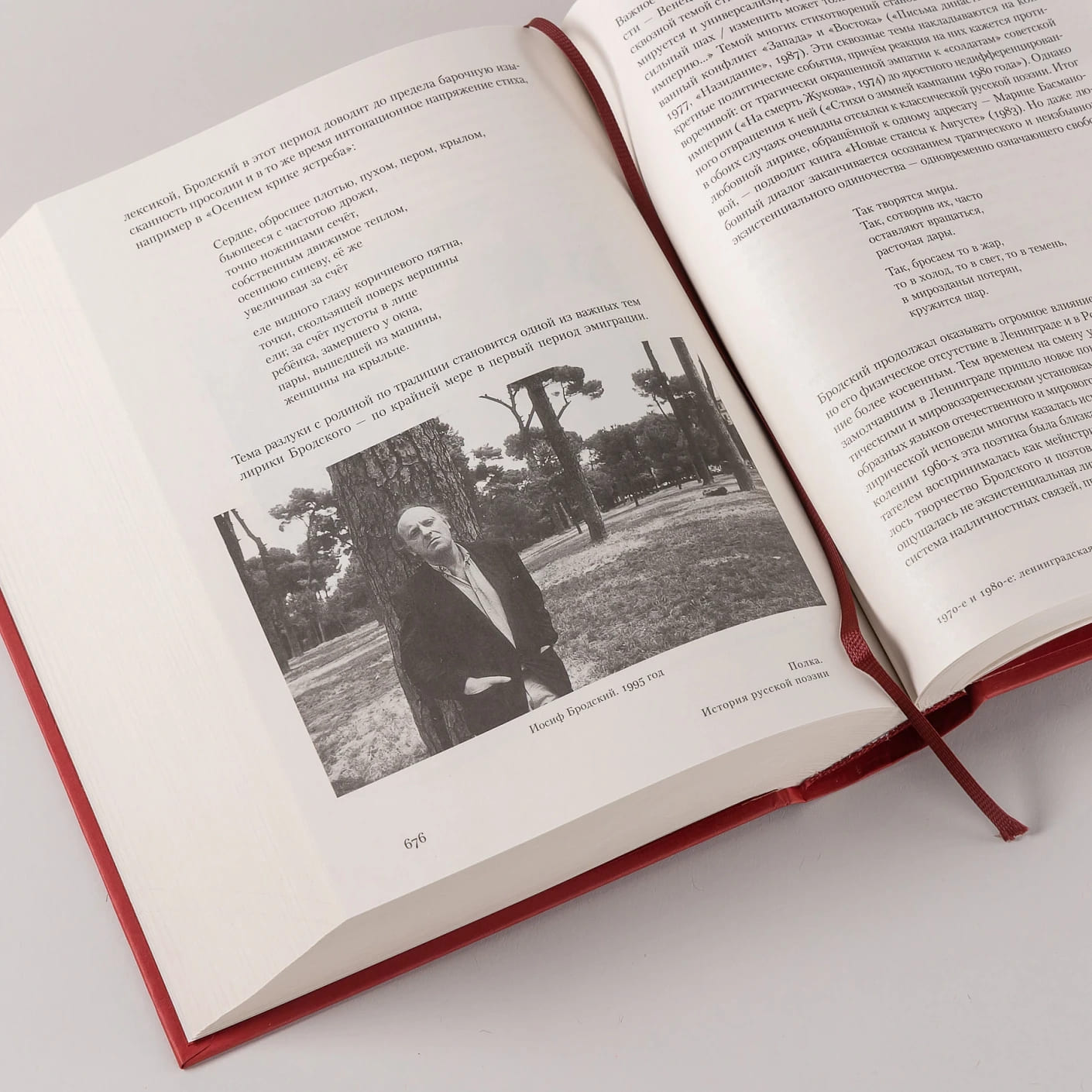 Полка: История русской поэзии