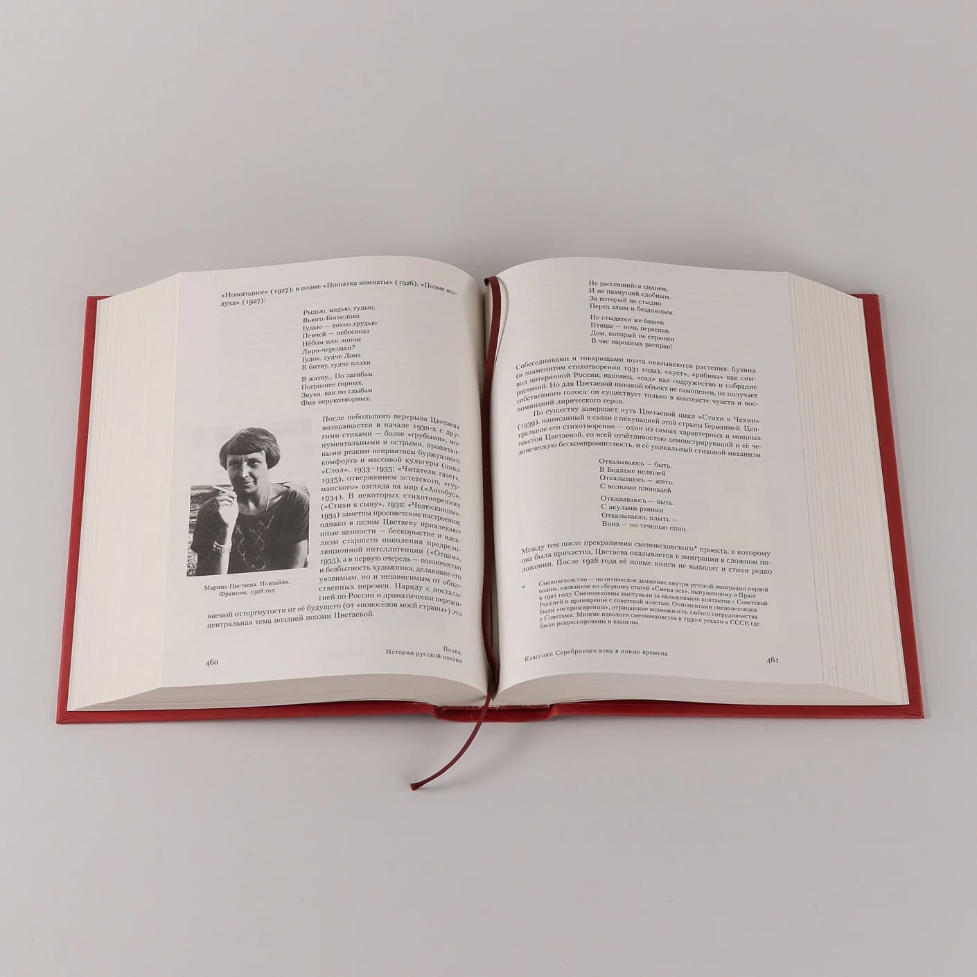 Полка: История русской поэзии