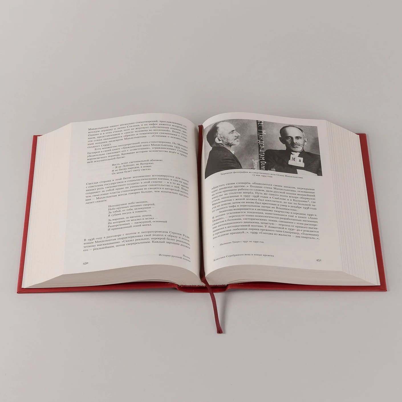 Полка: История русской поэзии