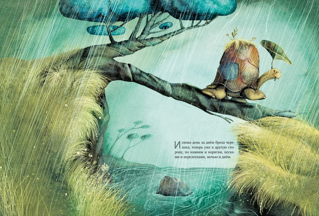 Транквилла Неуклюжевна, или Сказка о черепахе, которая приняла твёрдое решение