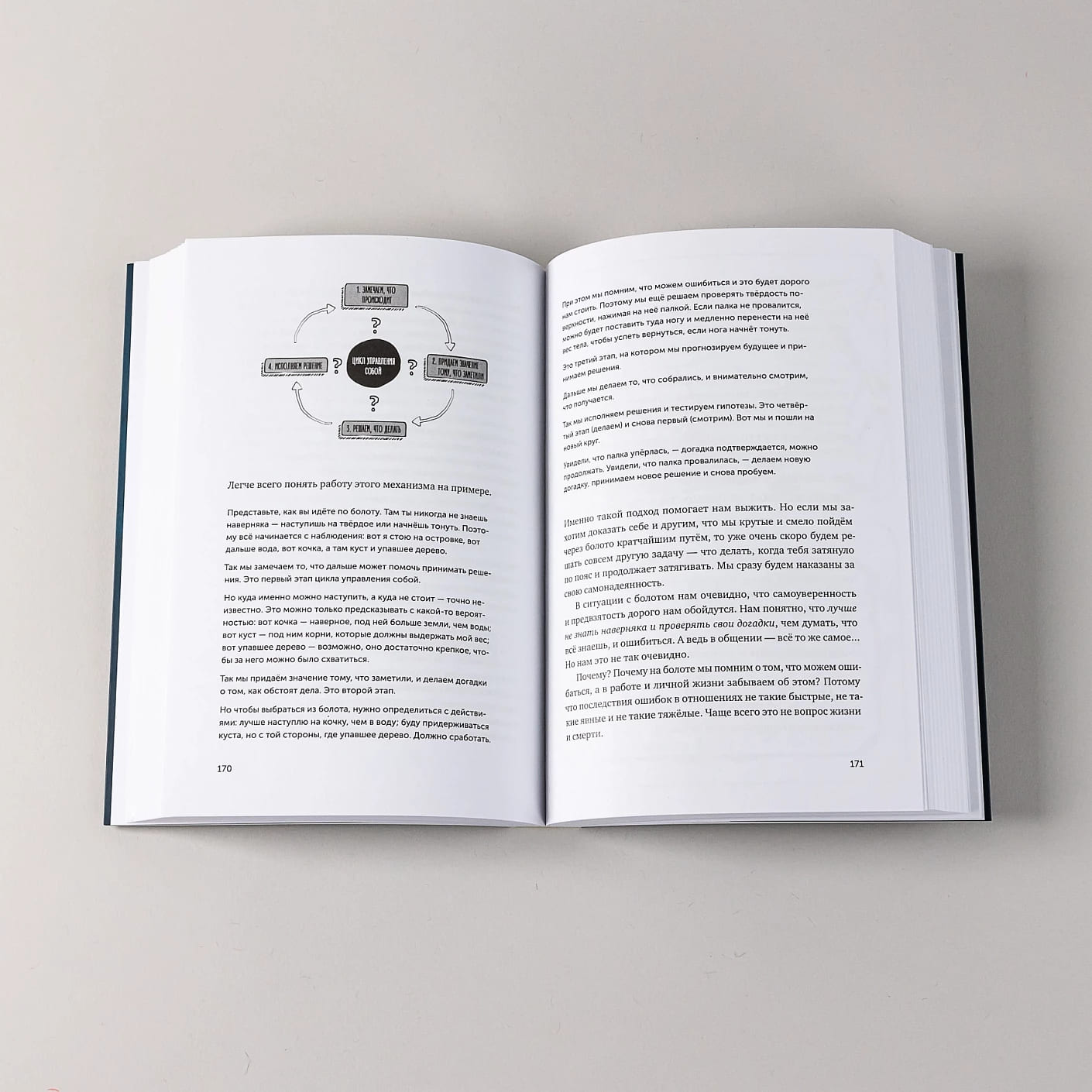 Адекватность. Как видеть суть происходящего, принимать хорошие решения и создавать результат без стресса