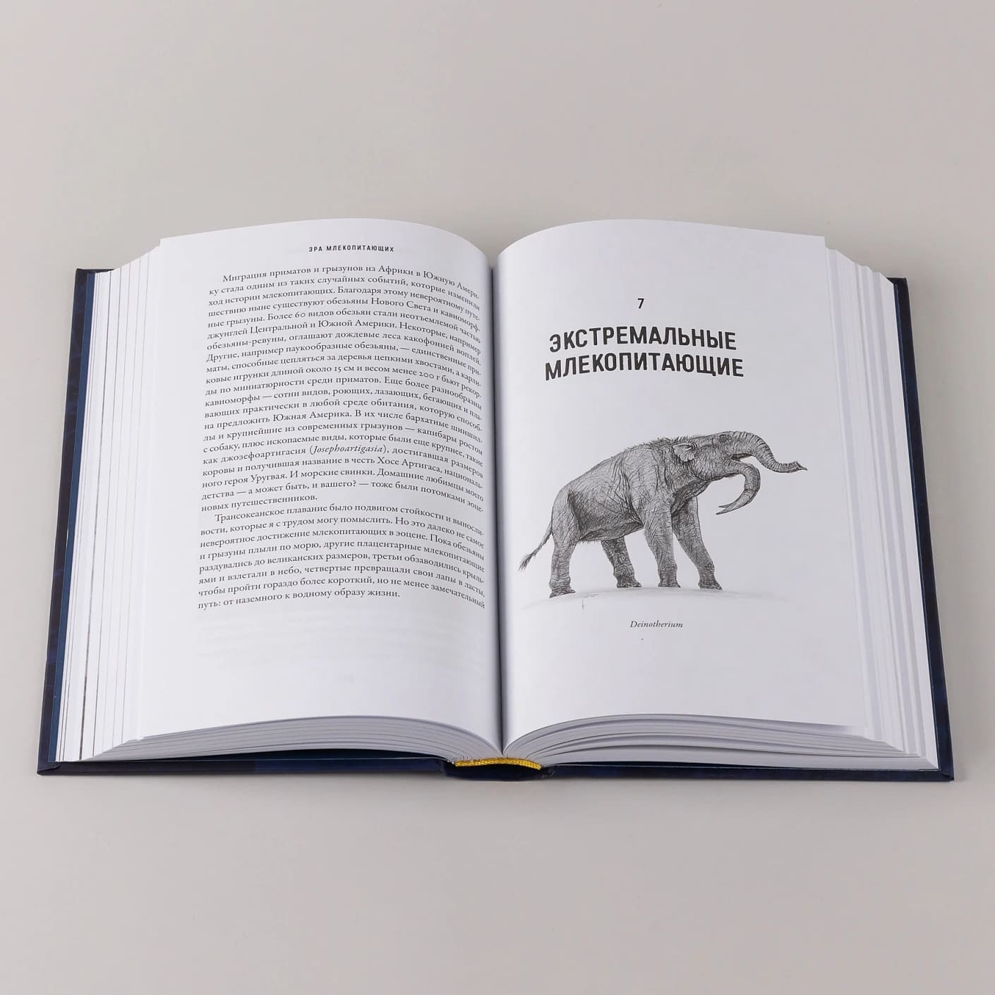 Эра млекопитающих: Из тени динозавров к мировому господству