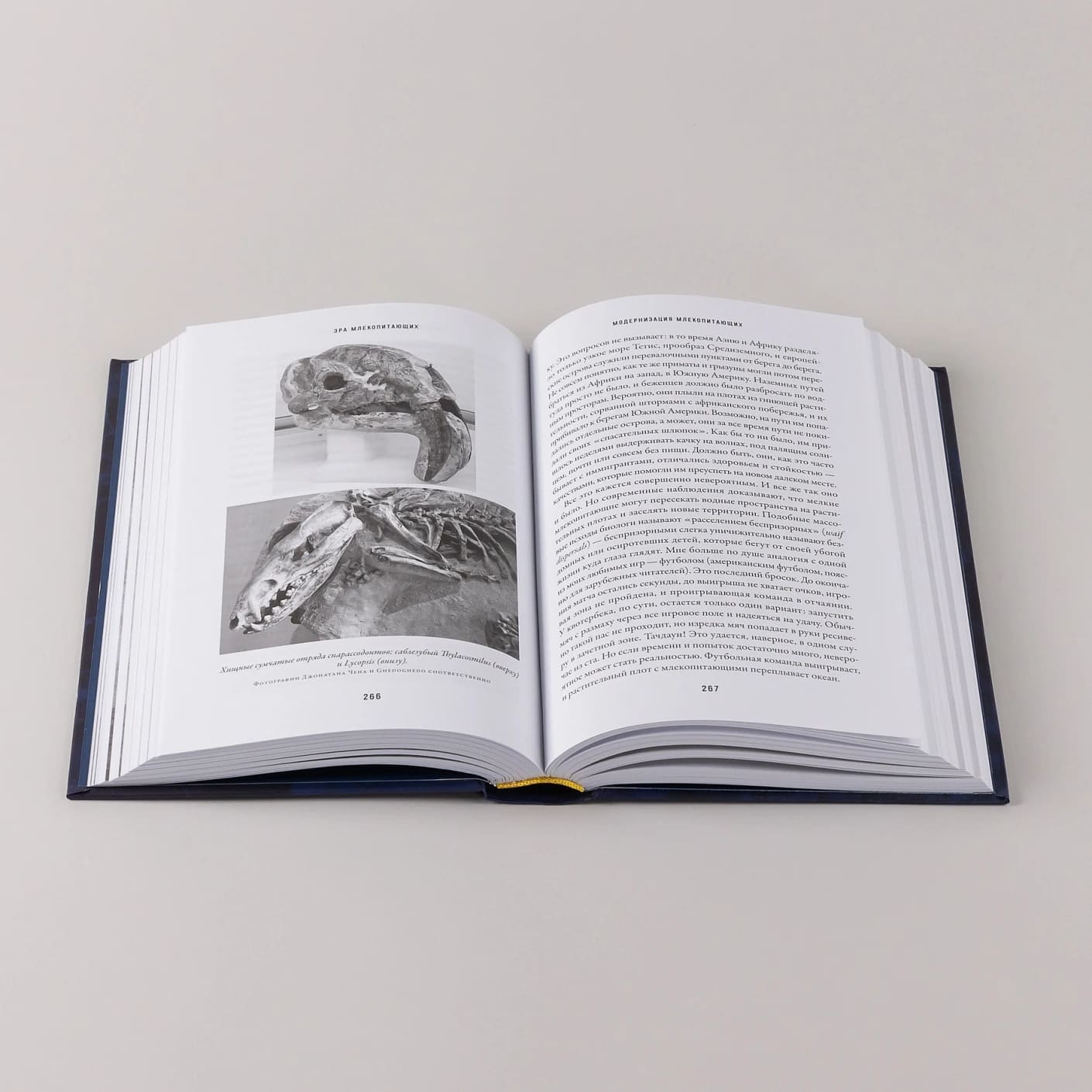 Эра млекопитающих: Из тени динозавров к мировому господству