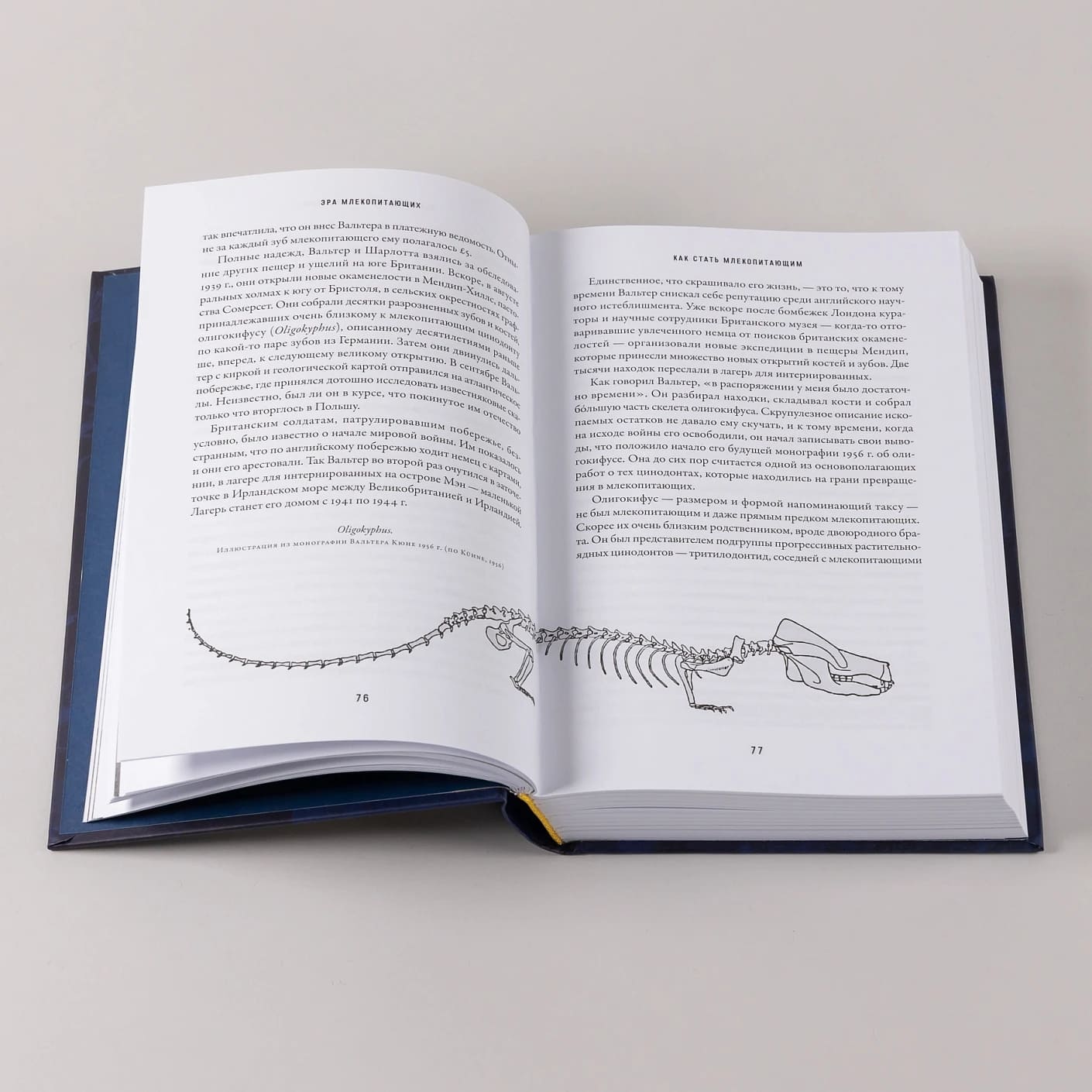 Эра млекопитающих: Из тени динозавров к мировому господству