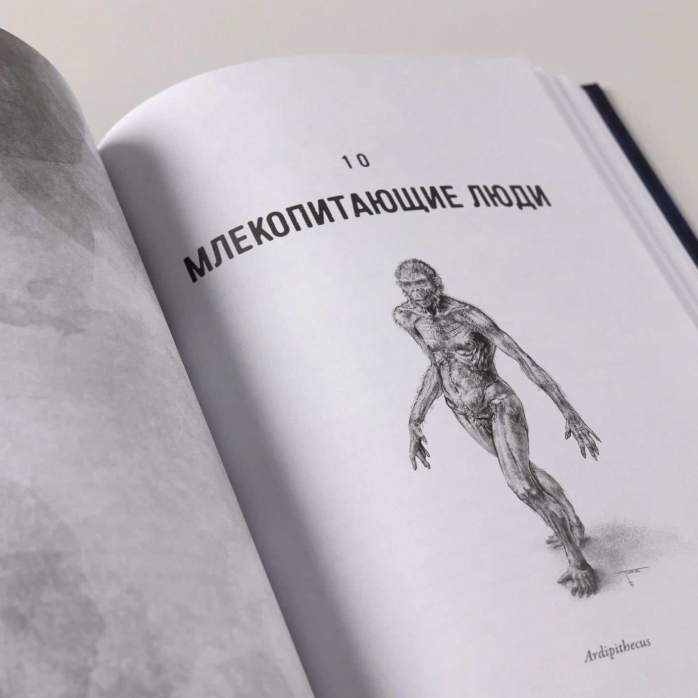 Эра млекопитающих: Из тени динозавров к мировому господству