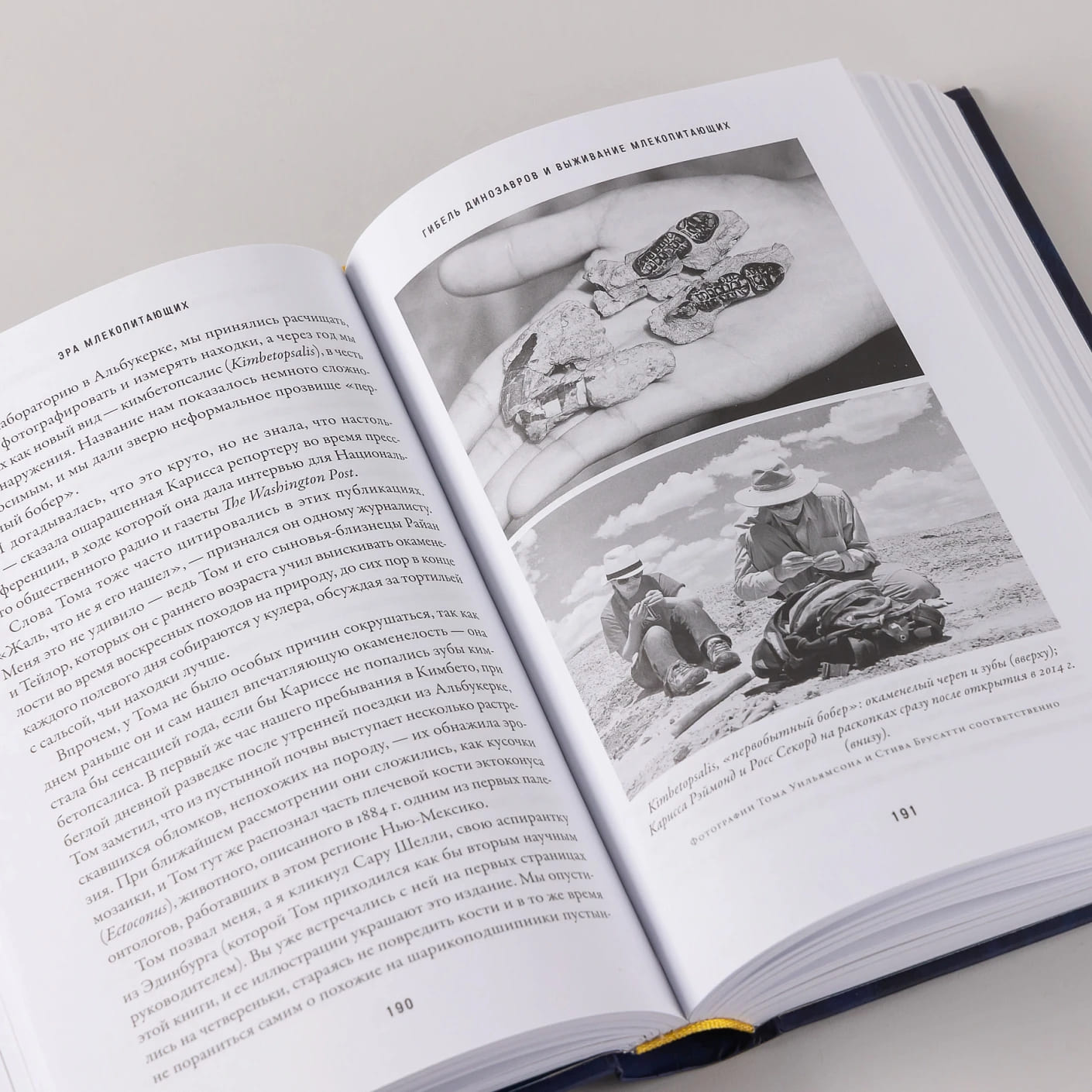 Эра млекопитающих: Из тени динозавров к мировому господству