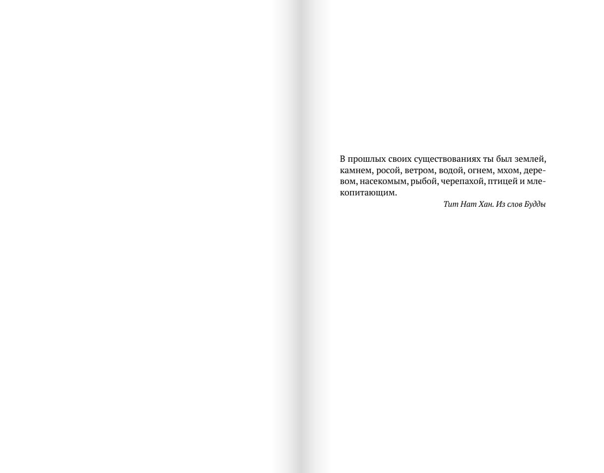 Ежегодный пир погребального братства